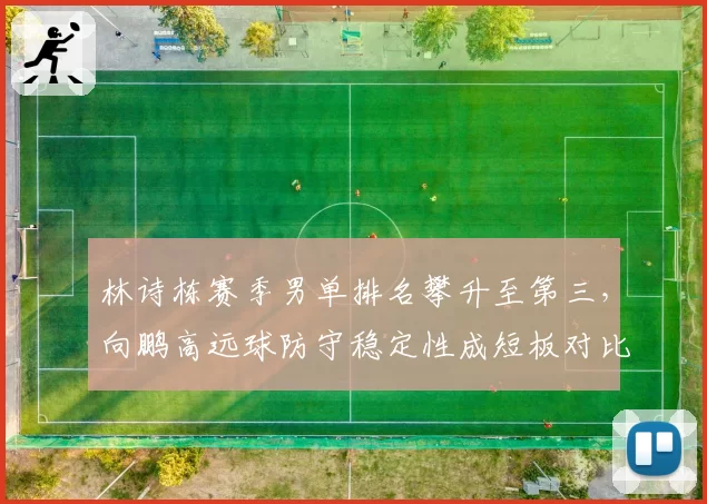 林诗栋赛季男单排名攀升至第三，向鹏高远球防守稳定性成短板对比