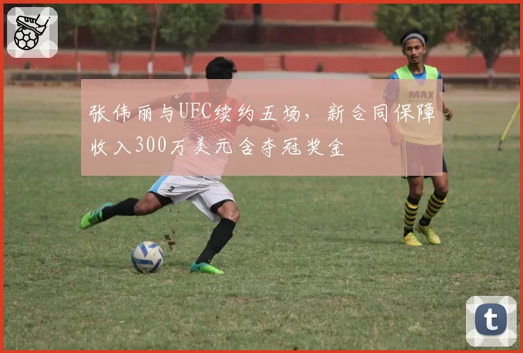 张伟丽与UFC续约五场，新合同保障收入300万美元含夺冠奖金