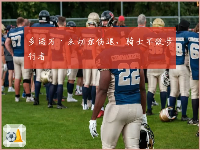 多诺万·米切尔伤退,骑士不敌步行者