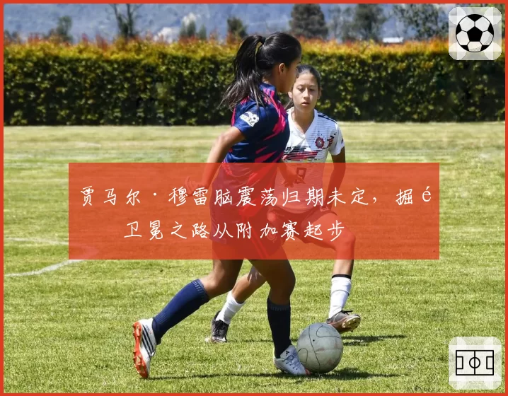 贾马尔·穆雷脑震荡归期未定，掘金卫冕之路从附加赛起步