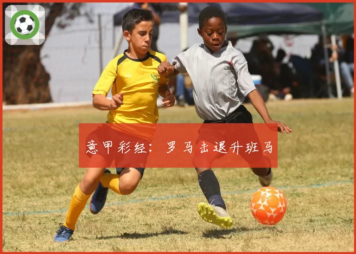 意甲彩经:罗马击退升班马