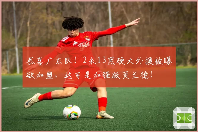 恭喜广东队!2米13黑硬大外援被曝欲加盟,这可是加强版莫兰德!