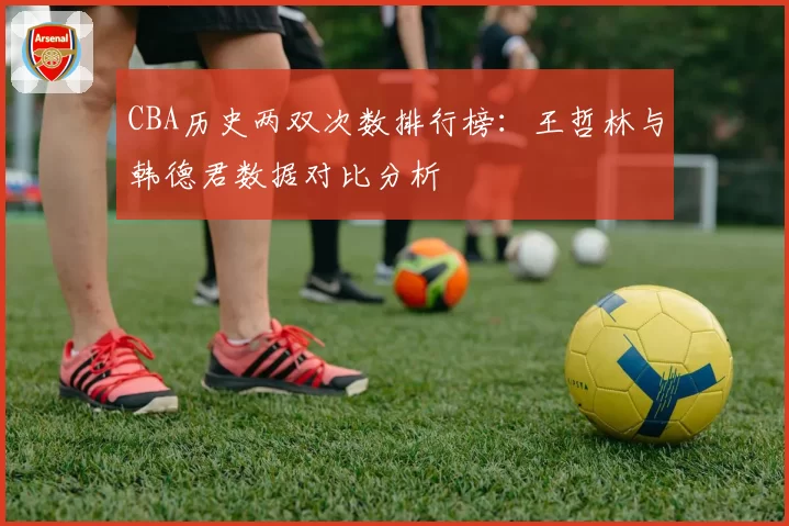 CBA历史两双次数排行榜:王哲林与韩德君数据对比分析